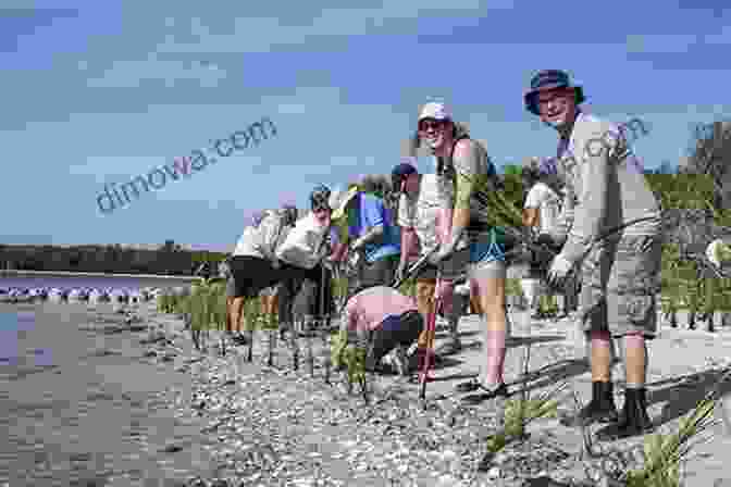 A Group Of Volunteers Planting Marsh Grasses Along The Shoreline Of Long Island Sound, Demonstrating The Ongoing Conservation Efforts To Restore And Protect The Sound's Ecosystems. This Fine Piece Of Water: An Environmental History Of Long Island Sound