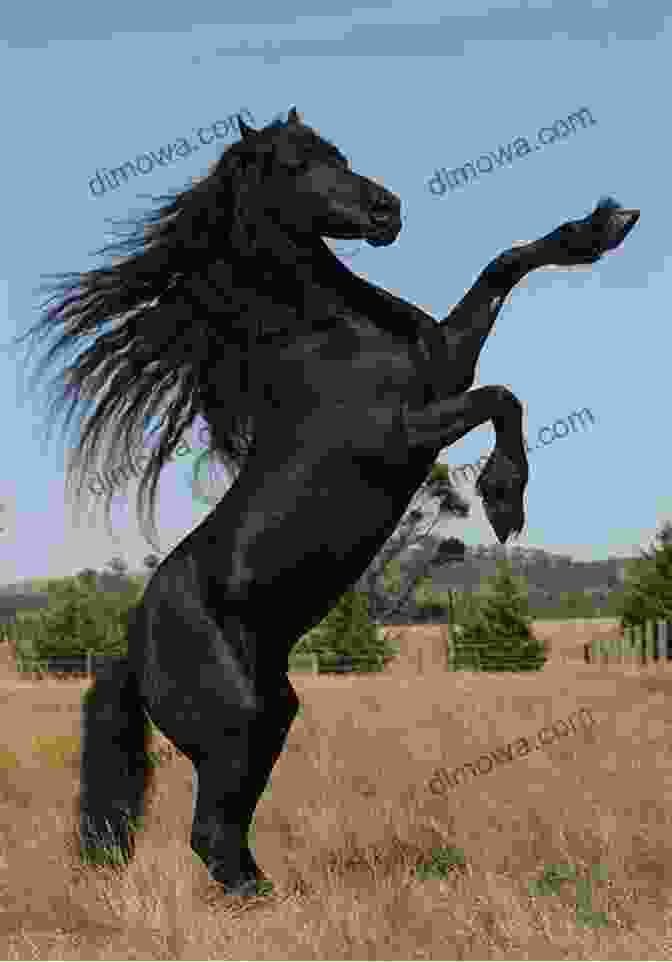 A Majestic Horse Standing Tall In A Field, Representing The Power Of Character Development. Walking With Horses: The Eight Leading Positions (Life Skills For Horses)