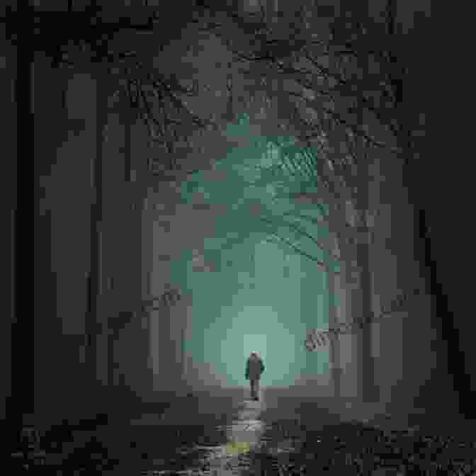 A Person Walking Through A Misty Forest Hypnotized (Orca Currents) Don Trembath