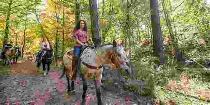 A Thrilling Scene From The Book, With Annelise And Jake Riding Horses Through A Narrow Canyon, Pursued By A Band Of Outlaws The Lady And The Texan
