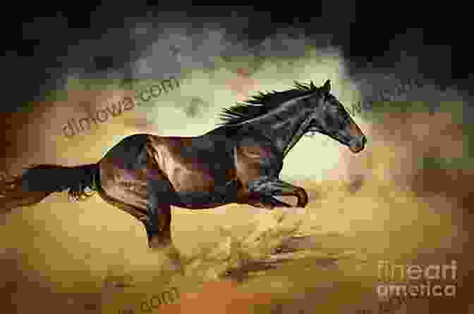 Black Stallion And Satan Galloping Side By Side Black Stallion And Satan Walter Farley
