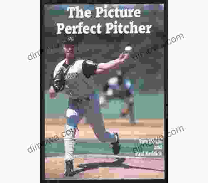 Cover Of The Book 'The Picture Perfect Pitcher' By Tom House The Picture Perfect Pitcher Tom House