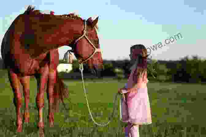 Cowgirl And Racehorse Standing Together In A Field, Symbolizing Resilience And Healing The Cowgirl And The Racehorse: A Recovery