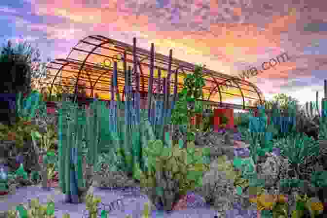 Desert Botanical Garden WIL S TRAVEL GUIDES: PHOENIX ARIZONA (2024 12)