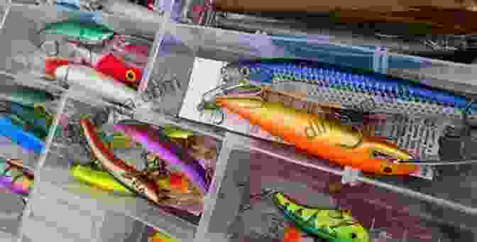 Elements Of Effective Lure Design How To Make Fishing Lures Homemade Fishing Lures