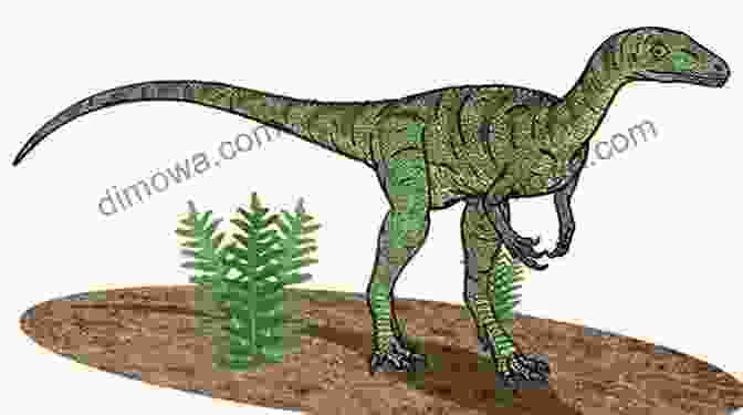 Eoraptor, A Small, Bipedal Dinosaur From The Triassic Period Dinosaurs Other Animals Of The Triassic (The History Of Life 2)