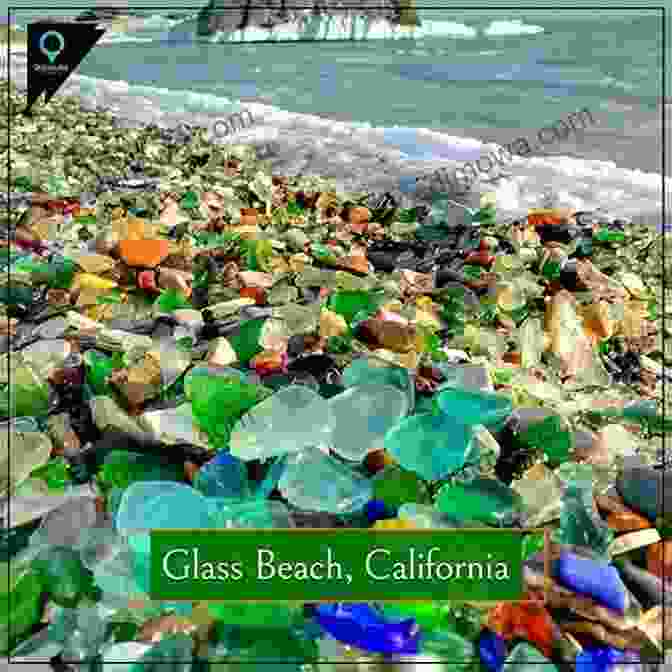 Glass Beach Field Survey Fort Bragg California Wildlife Glass Beach: A Field Survey / Fort Bragg California