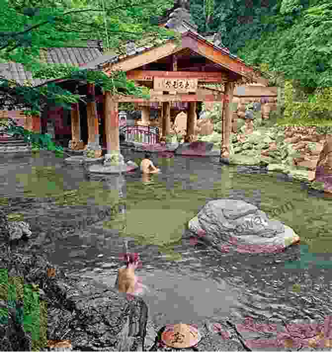 Hikes With Hot Springs Day Trips From Tokyo Cover Image Hikes With Hot Springs Day Trips From Tokyo