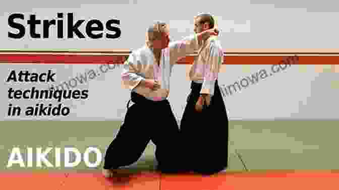 Kogeki Strike Technique Attacks In Aikido: How To Do Kogeki The Attack Techniques