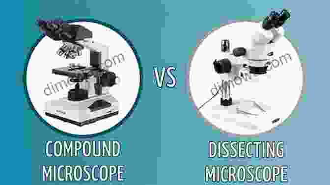 Microscopy Applications In Various Fields An To Microscopy Suzanne Bell
