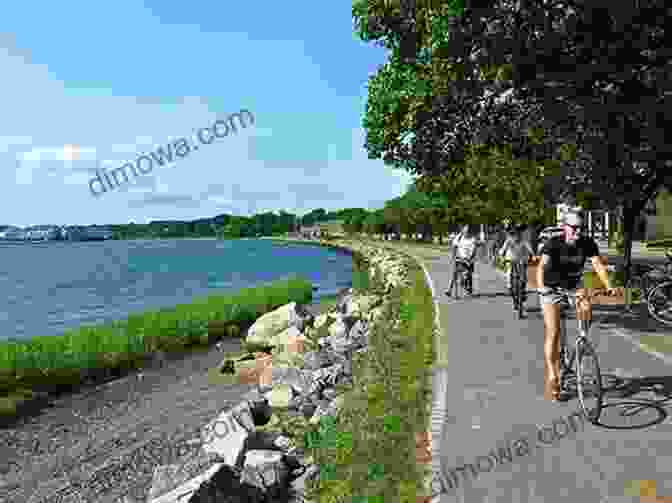 New England Bike Path With Lush Greenery Best Bike Rides In New England: Backroad Routes For Cycling The Northeast States