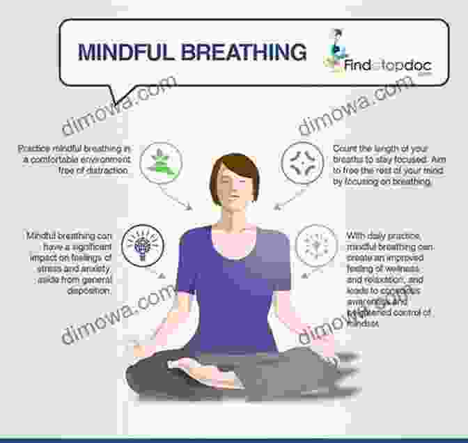 Person Practicing Mindfulness Through Deep Breathing And Present Moment Awareness I Have Lived Today: A Literary Coming Of Age Story