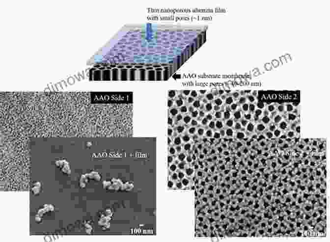 Porous Materials With Intricate Network Of Nanopores Fluid Transport In Nanoporous Materials: Proceedings Of The NATO Advanced Study Institute Held In La Colle Sur Loup France 16 28 June 2003 (NATO Science Physics And Chemistry 219)