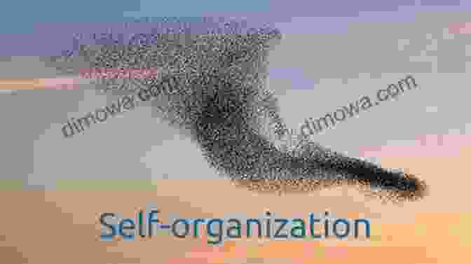 Self Organization: The Power Of Emergence A World Of Complexity Titu Andreescu