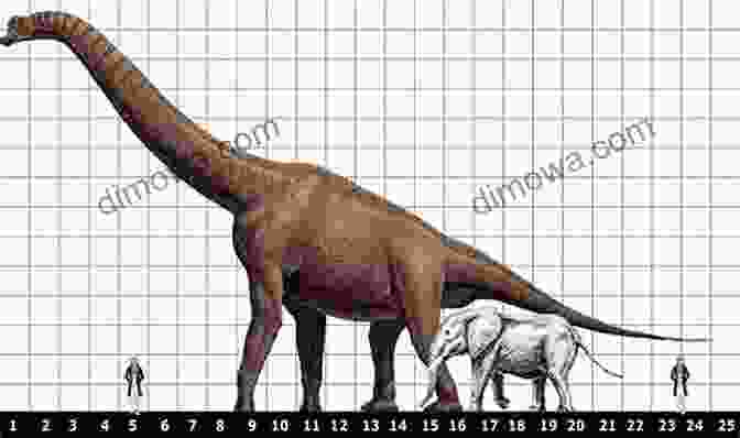 Size Comparison Of A Brachiosaurus To A Human Dinosaurs And The Expanding Earth: Solving The Mystery Of The Dinosaurs Gigantic Size