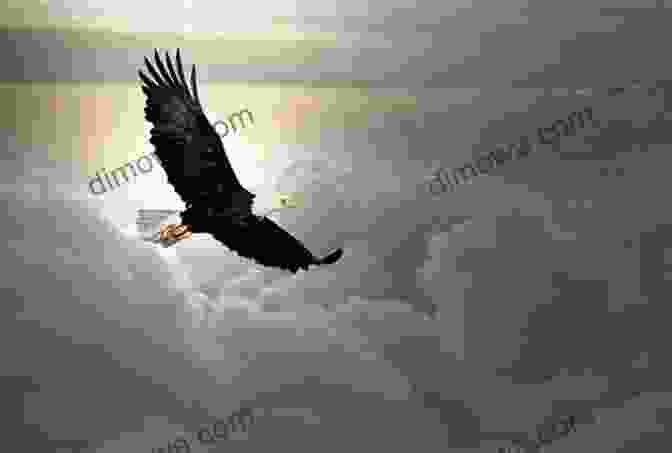 Soaring Eagle Above Stormy Seas, Symbolizing Resilience And Triumph The Rising (The Rising Resolution 2)