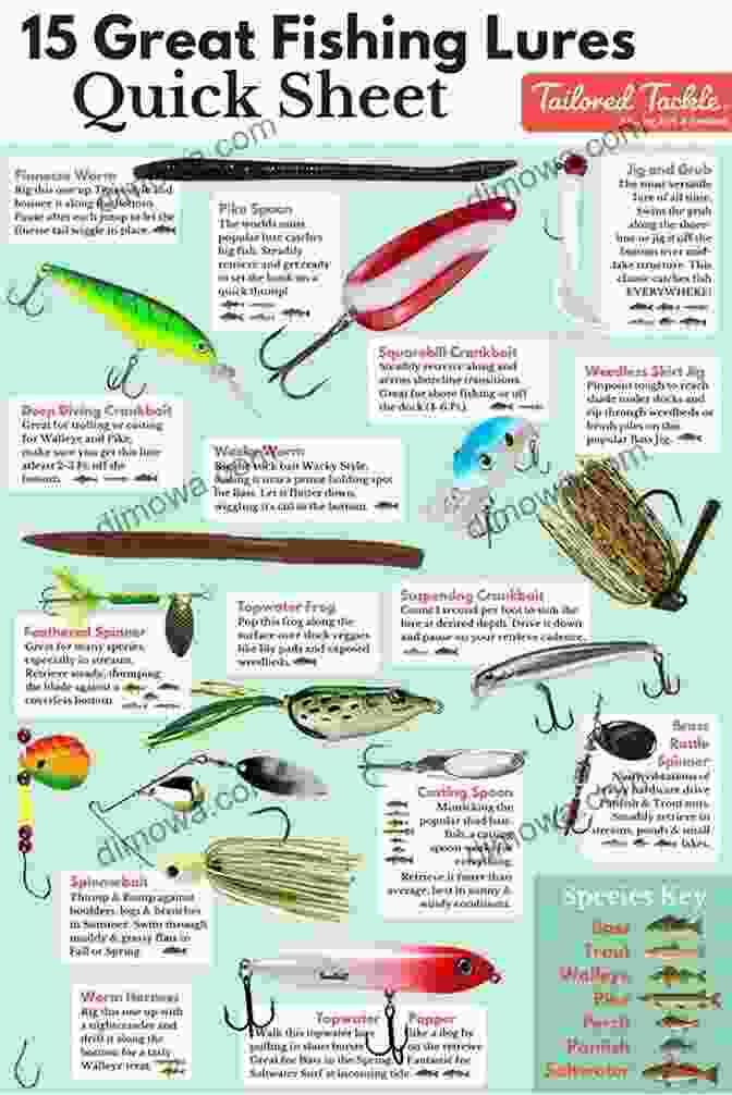 Techniques For Crafting Different Types Of Lures How To Make Fishing Lures Homemade Fishing Lures