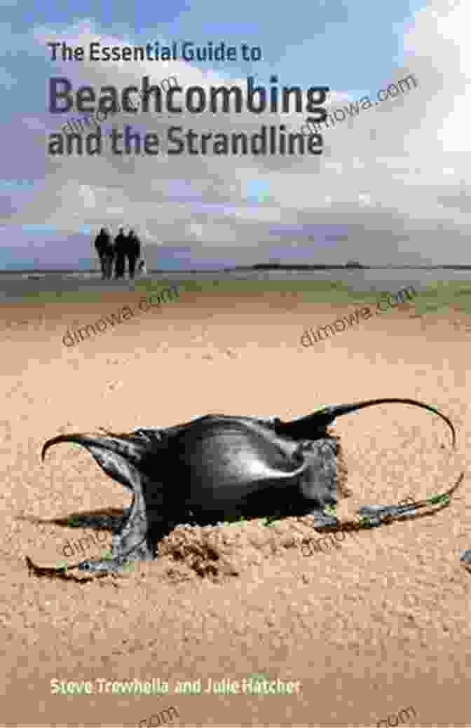 The Cover Of The Essential Guide To Beachcombing And The Strandline (Wild Nature Press)