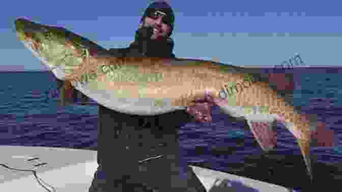 Three Anglers With Muskies The Complete Guide To Musky Hunting