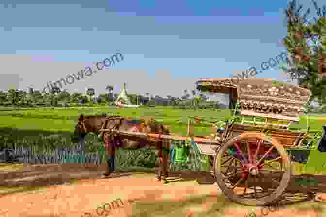 Traditional Horse Drawn Carriage In Myanmar Traditional Transportation In Myanmar: Independent Author