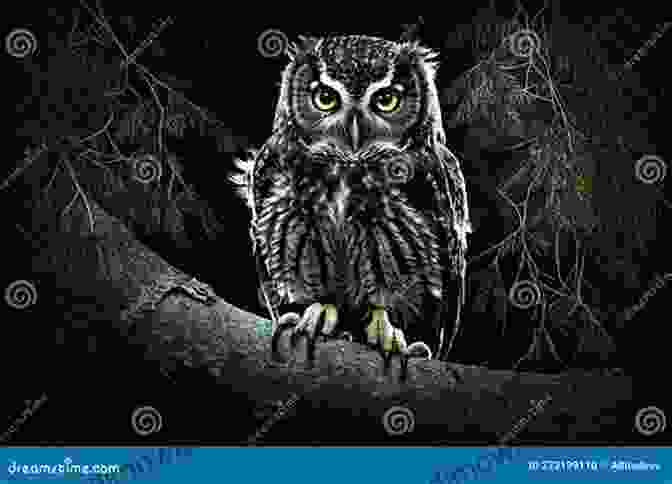 Wolves Hunting In The Darkness, An Owl Perched On A Branch With Glowing Eyes The Haunters Of The Silences A Of Animal Life