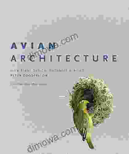 Avian Architecture: How Birds Design Engineer And Build