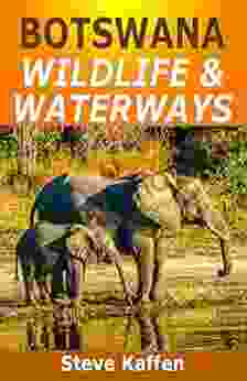 Botswana Wildlife Waterways Steve Kaffen