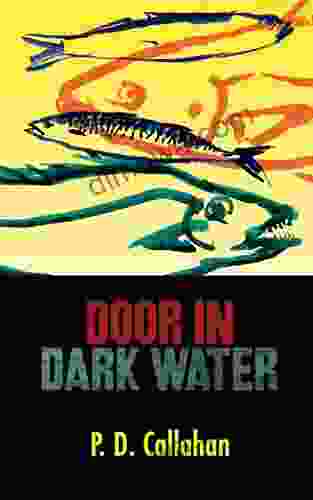 Door In Dark Water P D Callahan