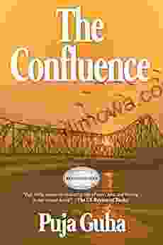 The Confluence: A Novel Of Family Adoption And A Mother S Love
