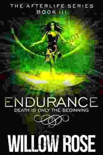 Endurance (Afterlife 3) Willow Rose