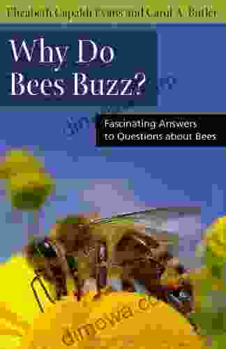 Why Do Bees Buzz?: Fascinating Answers To Questions About Bees (Animals Q A)