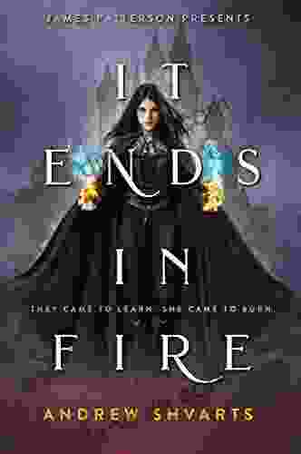 It Ends In Fire Andrew Shvarts