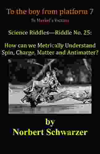 Science Riddles Riddle No 25: How Can We Metrically Understand Spin Charge Matter And Antimatter?