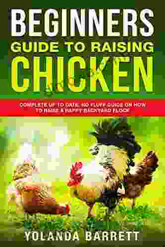 Beginners Guide To Raising Chicken: Complete Up To Date No Fluff Guide On How To Raise A Happy Backyard Flock (First Timers)