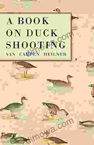 A On Duck Shooting