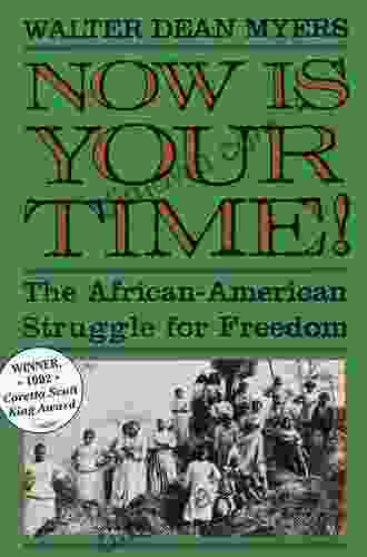 Now Is Your Time : The African American Struggle For Freedo