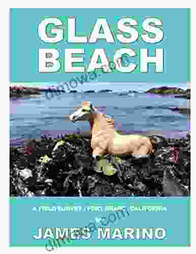 Glass Beach: A Field Survey / Fort Bragg California