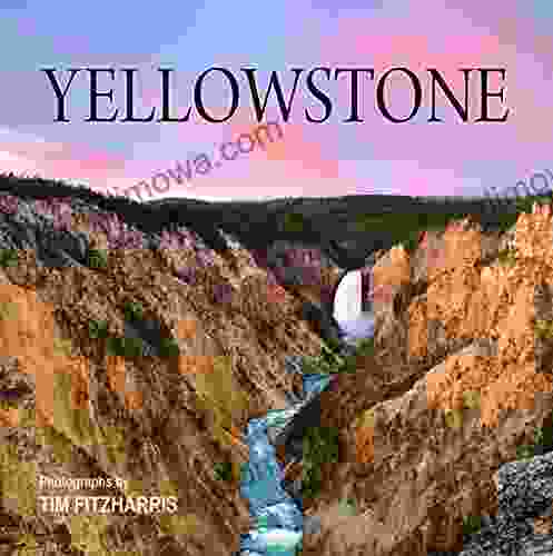 Yellowstone Tim Fitzharris